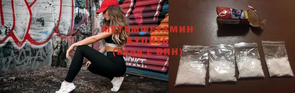 прущие грибы Горняк