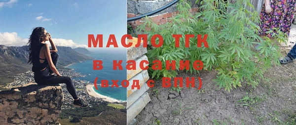 прущие грибы Горняк