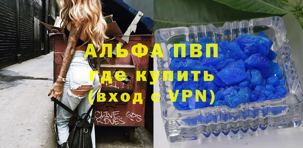 прущие грибы Горняк