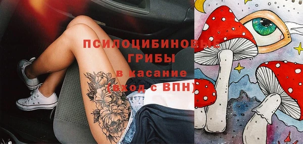 тгк Кукмор