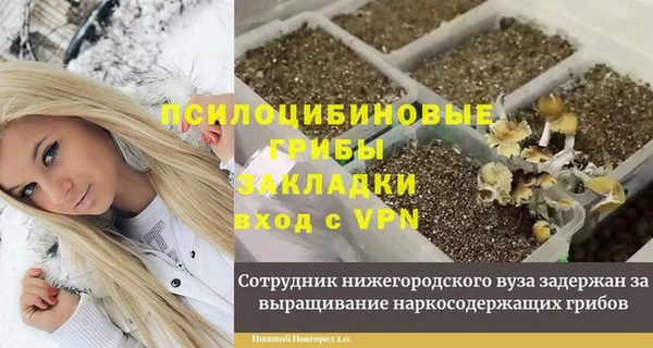 стафф Горнозаводск