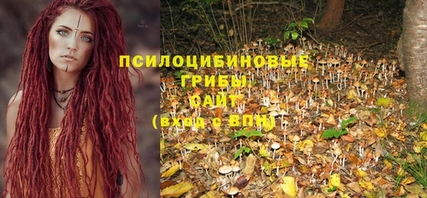 стафф Горнозаводск