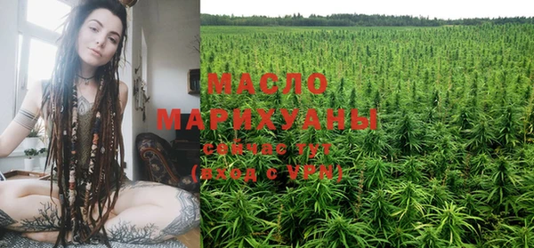 прущие грибы Горняк