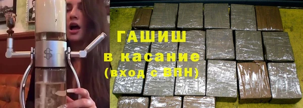 прущие грибы Горняк
