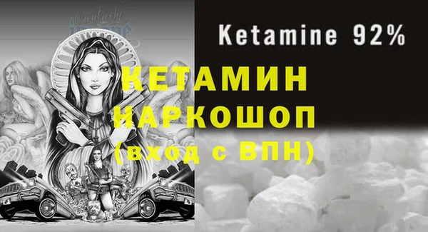 прущие грибы Горняк