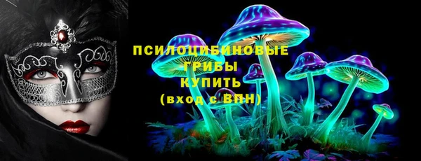 прущие грибы Горняк