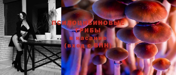 стафф Горнозаводск