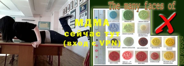 прущие грибы Горняк