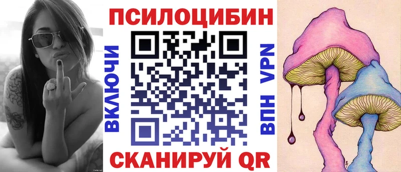 Псилоцибиновые грибы GOLDEN TEACHER  купить  сайты  Михайлов 